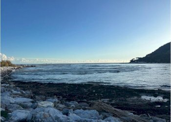 am7.JPG - Ristorante Ameglia - foto 9