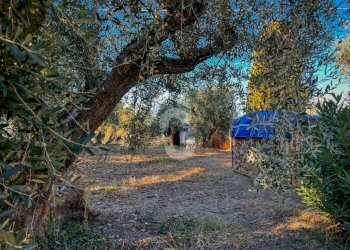 EBB99F15-C6FA-4EF7-8727-938CAAC20F16.jpeg - Casa indipendente Montecarotto - foto 8