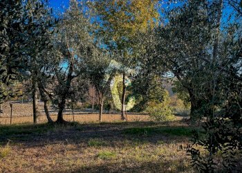 CA0F8709-1A15-48E3-A86F-F3698207250B.jpeg - Casa indipendente Montecarotto - foto 10