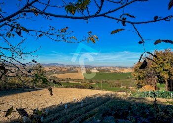 7F7BCCD3-07D6-4535-B2B3-ECE3D0B474ED.jpeg - Casa indipendente Montecarotto - foto 14