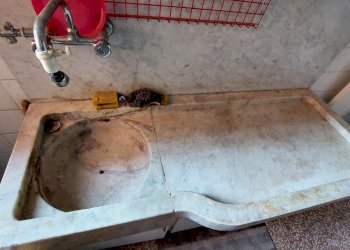 20241205_142457.jpg - Trilocale Via Aurelio Robino, Genova (zona Marassi) - foto 13