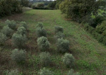 DJI_0358.jpg - Villa Civitella San Paolo - foto 4