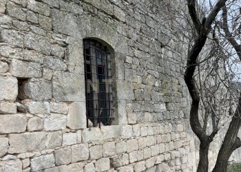 IMG_7285.jpg - Villa SS115, km 323 SNC, Ragusa - foto 15