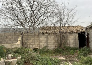 IMG_7322.jpg - Villa SS115, km 323 SNC, Ragusa - foto 17