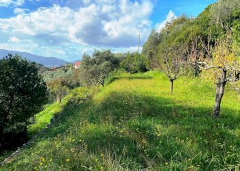 18857.jpg - Independent house Sarzana - photo 4