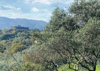 18858.jpg - Independent house Sarzana - photo 5