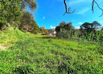 18859.jpg - Independent house Sarzana - photo 6