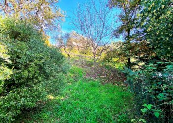 18865.jpg - Independent house Sarzana - photo 11