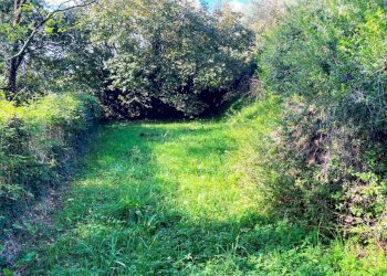 18867.jpg - Independent house Sarzana - photo 12