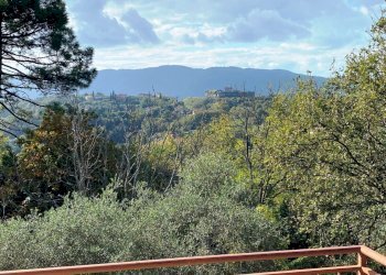 18871.jpg - Independent house Sarzana - photo 14