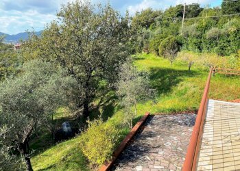 18872.jpg - Independent house Sarzana - photo 17