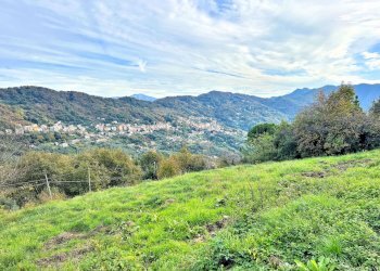 TERRENO E VISTA.jpg - Apartment Via Chiesa Calcinara 44, Uscio - photo 8