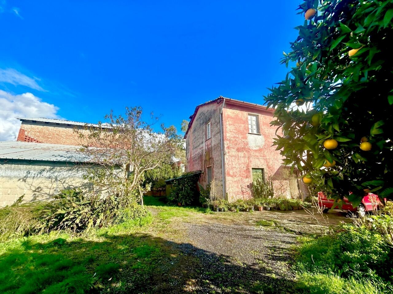 8cb8a3b8-bc2f-4e10-a731-eb5cb90881bb.jpg - Casale Sarzana - foto 1