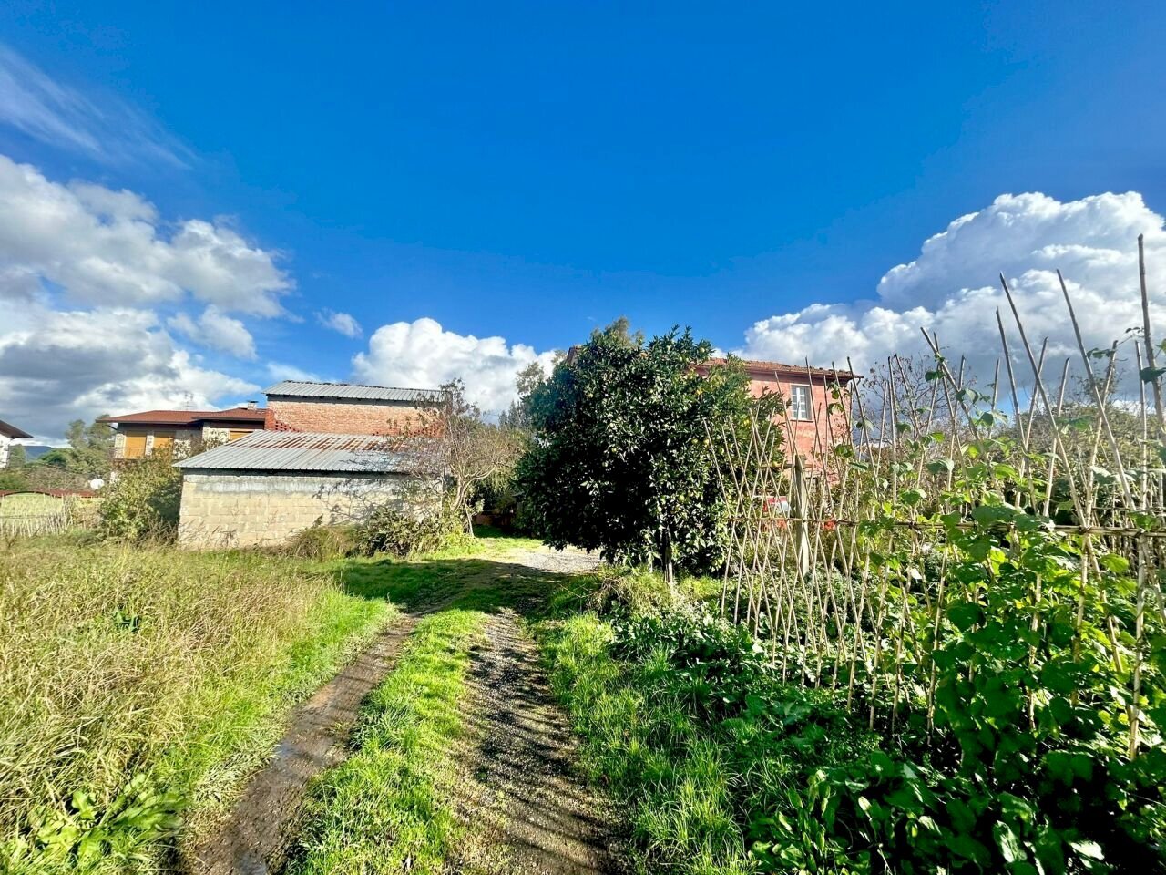 9f1f4e5a-efa5-4f17-bec0-64751e9a451a.jpg - Casale Sarzana - foto 2