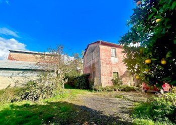 8cb8a3b8-bc2f-4e10-a731-eb5cb90881bb.jpg - Casale Sarzana - foto 1