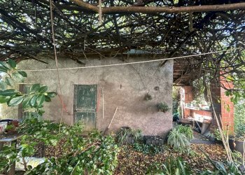 8e070211-ba45-4995-9883-7c0469d7f524.jpg - Casale Sarzana - foto 4