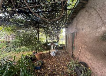 2842d19b-b7c9-4c15-b80a-dd569966cbc9.jpg - Casale Sarzana - foto 13