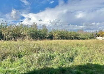 a39c33bc-296d-4252-beb7-a38b16046f62.jpg - Casale Sarzana - foto 17