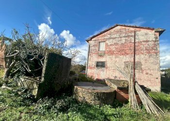 cb31c34e-a46a-49ca-ba45-960c5aead80b.jpg - Casale Sarzana - foto 26