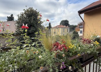 dettagli - Bilocale Via Giuseppe Sirtori 1, Carate Brianza - foto 3