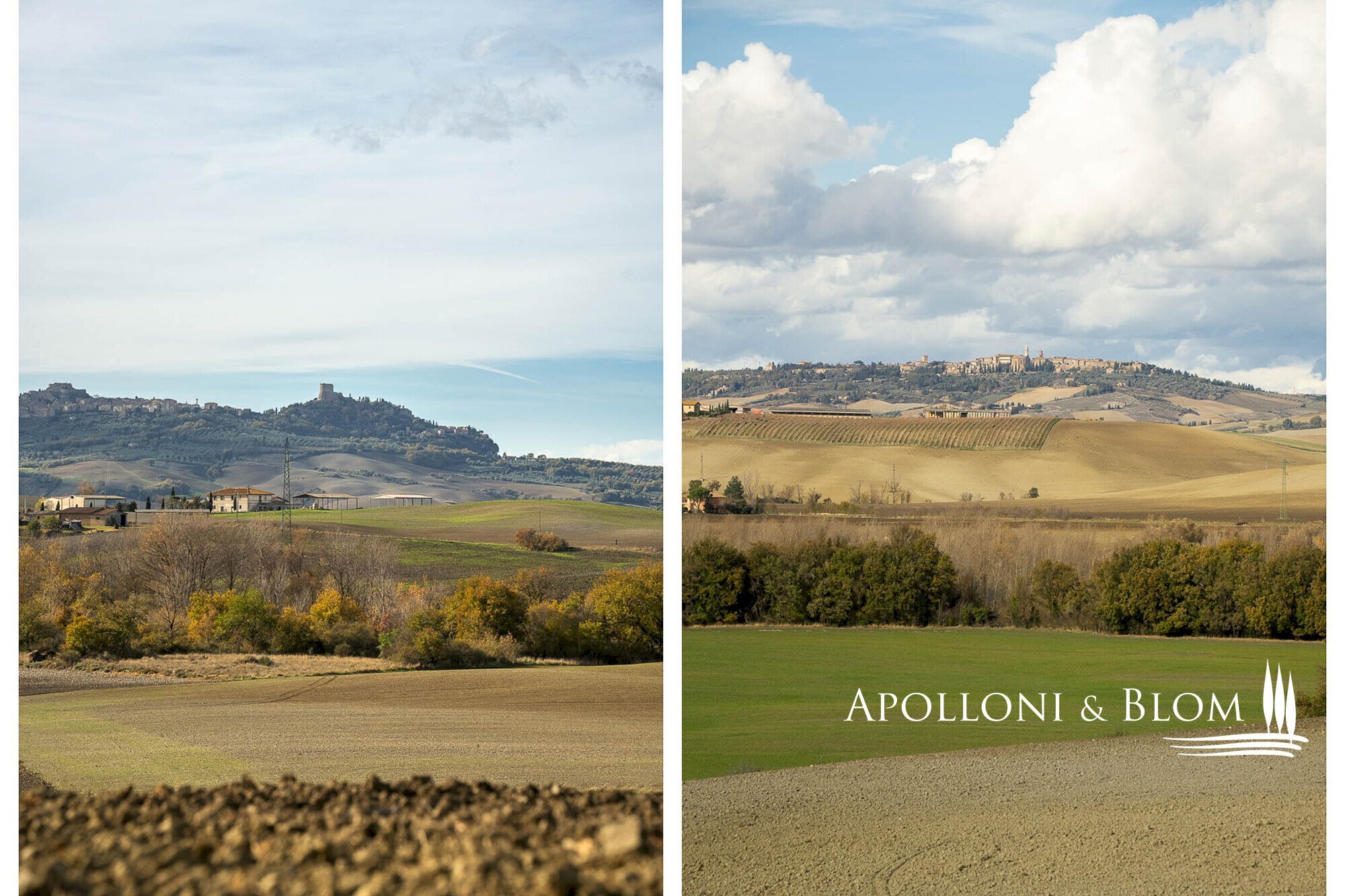 Rustic Castiglione d'Orcia - photo 3