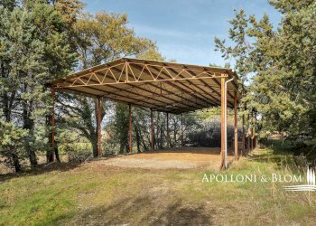 Rustico Castiglione d'Orcia - foto 8