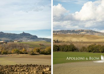 Rustico Castiglione d'Orcia - foto 3