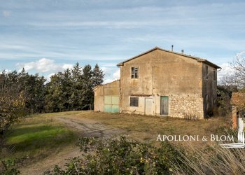 Rustico Castiglione d'Orcia - foto 11