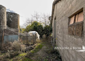 Rustico Castiglione d'Orcia - foto 15