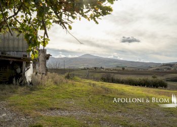 Rustico Castiglione d'Orcia - foto 16