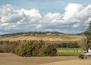 Rustico Castiglione d'Orcia - foto 20