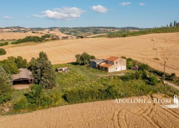 Rustico Castiglione d'Orcia - foto 2