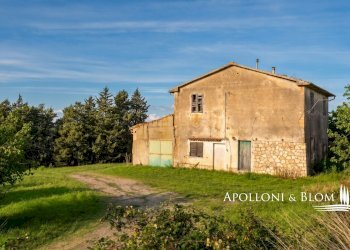 Rustico Castiglione d'Orcia - foto 6