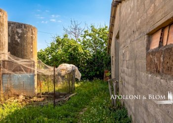 Rustico Castiglione d'Orcia - foto 11