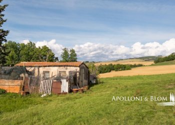 Rustico Castiglione d'Orcia - foto 12
