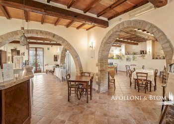 Rustic Radicofani - photo 3