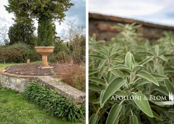 Rustic Radicofani - photo 32