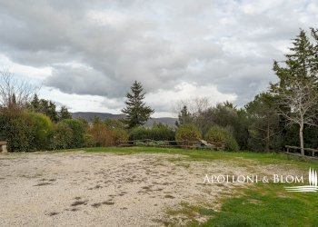 Rustic Radicofani - photo 35