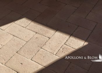 Rustic Via Pianigiani, 12, Radda in Chianti - photo 8