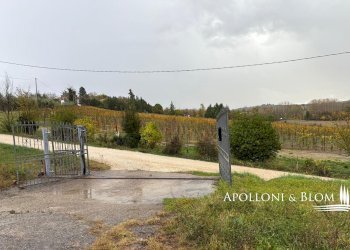 Rustico Via Giovanni Castagnoli, 13/A, Poggibonsi - foto 16