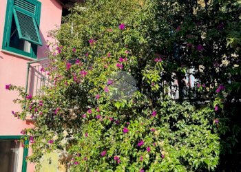 Quadrilocale Via Olivella Camminata, Casarza Ligure - foto 7