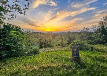 Rustic Montiglio Monferrato - photo 2