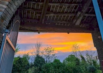 Rustic Montiglio Monferrato - photo 35