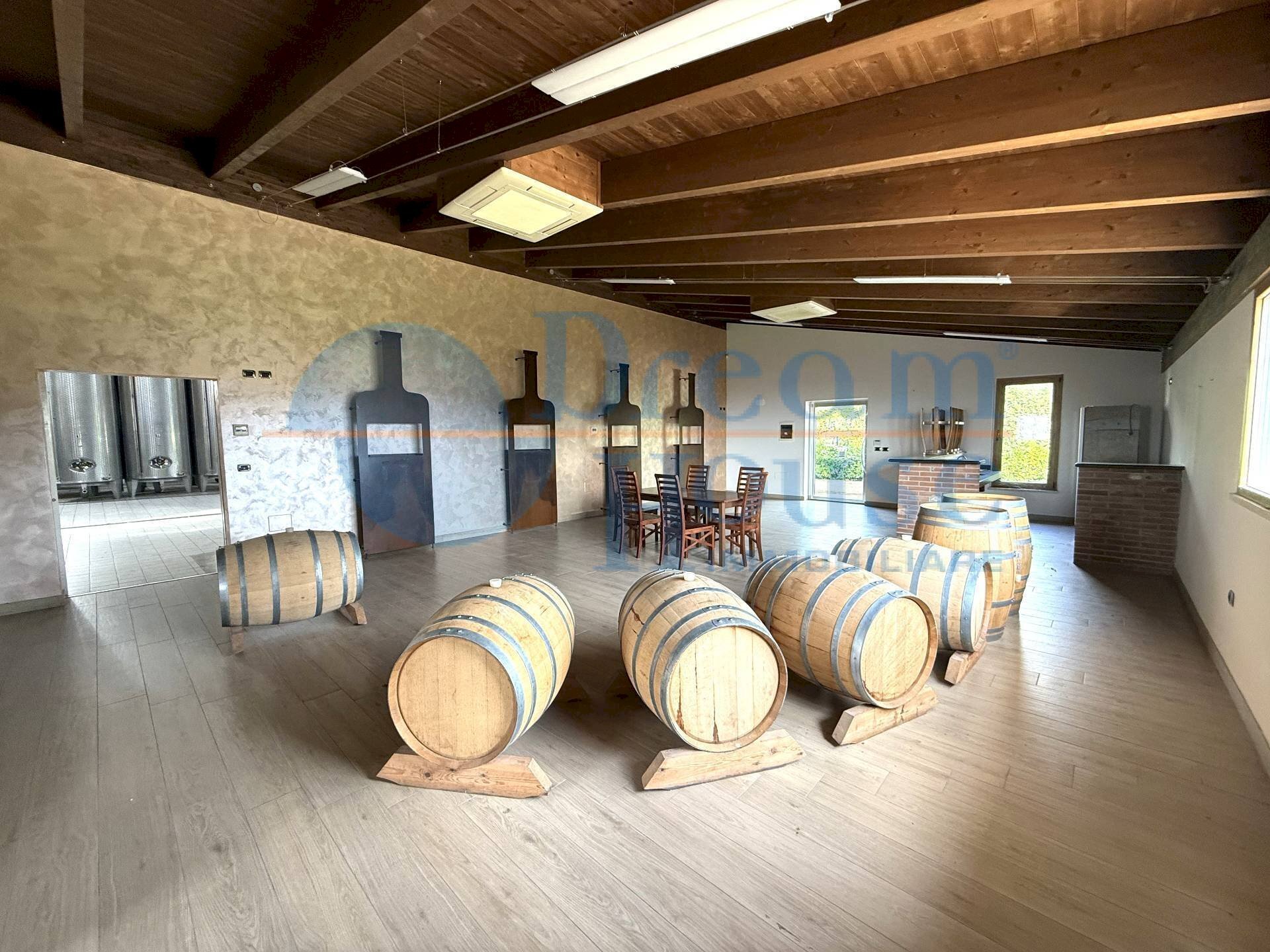 Foto 3 - Capannone Via Pianagallo, Corropoli - foto 3