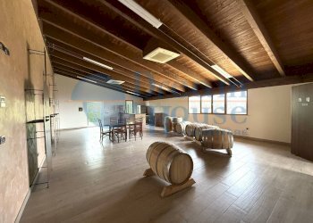 Foto 2 - Capannone Via Pianagallo, Corropoli - foto 2