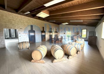 Foto 3 - Capannone Via Pianagallo, Corropoli - foto 3