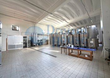 Foto 10 - Capannone Via Pianagallo, Corropoli - foto 10