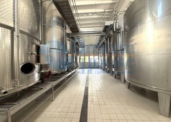 Foto 12 - Capannone Via Pianagallo, Corropoli - foto 12