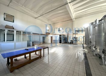 Foto 16 - Capannone Via Pianagallo, Corropoli - foto 16