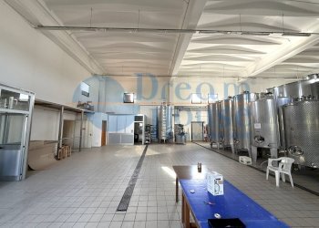 Foto 17 - Capannone Via Pianagallo, Corropoli - foto 17